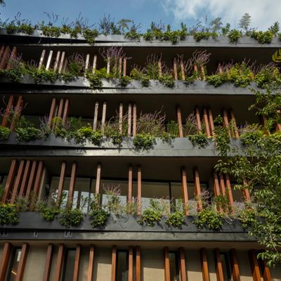 Avance de obra interior San Rafael